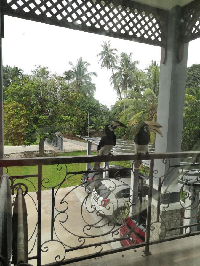 Darney'S Homestay Kg Bangau Tanjung Temerloh Exterior photo